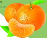 Klementina Rinfuza 1 kg