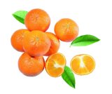 Klementina Vrtovi Hrvatske pakiranje 1 kg