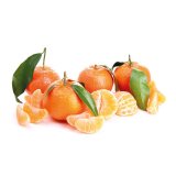 Domaća Klementina 1 kg