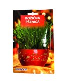 Božićna pšenica 50 g