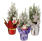 Elwoodi ukrasno drvce 1 kom