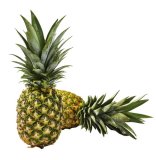 Ananas 1 kom