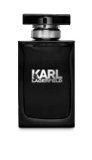 Karl Lagerfeld Pour Homme 10 naljepnica 100 ml