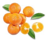 Klementina rinfuza 1 kg