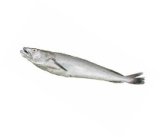 Oslić 1 kg OČIŠĆEN