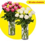 Ruže rezane 10 kom