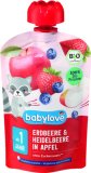 Babylove EKO voćna kašica 100g