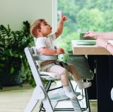 Sklopiva hranilica Finny Fold