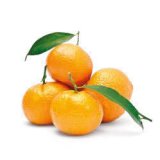 MANDARINA 1 kg