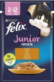 FELIX FANTASTIC JUNIOR za mačiće, piletina, vrećica, 85 g
