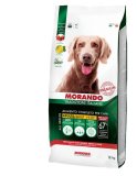 MORANDO TRADIZIONI ADULT odabrani okusi, 12 kg