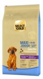SELECT GOLD SENSITIVE MAXI JUNIOR za štence i mlade pse velikih pasmina, janjetina, losos, krumpir, 12 kg