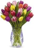 BUKET TULIPANA 7 komada, razne boje 1 buket