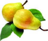 Kruška William 1 kg