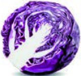 KUPUS CRVENI S-BUDGET rinfuza 1 kg