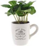 KAVA U ŠALICI Ø 9 cm 1 kom.