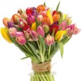 BUKETI TULIPANA 1 kom.