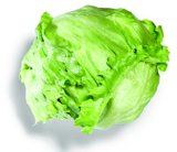 SALATA ICEBERG 1 kom