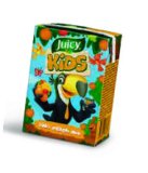 Juicy Kids SOK 100% jabuka, gusti, 0,2 l