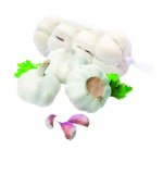 ČEŠNJAK 250 g, kom