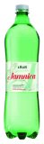 Jamnica PRIRODNA MINERALNA VODA gazirana, 1 l