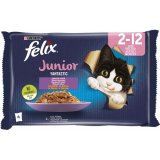 FELIX Fantastic JUNIOR, mix, multipack 4x85g