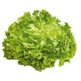 Salata endivija 1 kom.