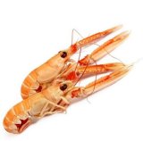 Škampi 8-12 Pedro 1 kg