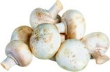 Gljive šampinjoni Pakiranje 500 g