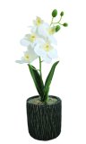 Orhideja u posudi roza, bijela* 8 x 8 x 30 cm 1 kom