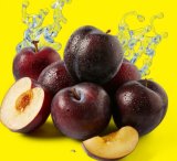 Šljiva okrugla 1 kg