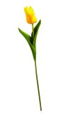 Tulipan* 33 cm, 1 kom