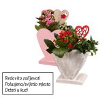 Valentinovo aranžman