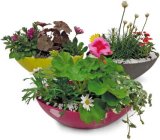 ARANŽMAN U TEGLI 1 kom