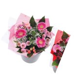 BUKET CVIJEĆA 1 kom