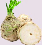 Celer korijen Rinfuza 1 kg