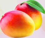 Mango 1 komad
