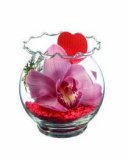 Orhideja (u staklenci) 1 kom