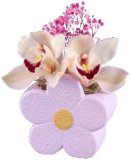 Orhideja (u ukrasnoj tegli) 1 kom