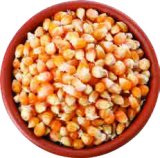 Kukuruz kokičar 500 g