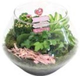 ARANŽMAN U STAKLU Ø 22cm 1 kom.