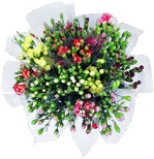 BUKET KARANFILA 1 kom.