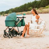 Dječja kolica Flavio Premium 3u1 1 kom 