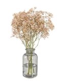 Gypsophila (Sadarka) Buket
