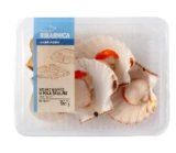 Svježe jakobove kapice 300 g