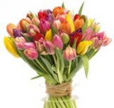 Buket tulipana premium 7/1