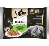 SHEBA Delicacy Multipack