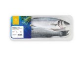 Brancin, svježi očišćeni Orada Adriatic 650 g