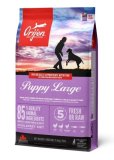ORIJEN PUPPY LARGE BREED 11,4 kg