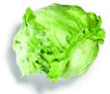 Salata Iceberg 1 kom